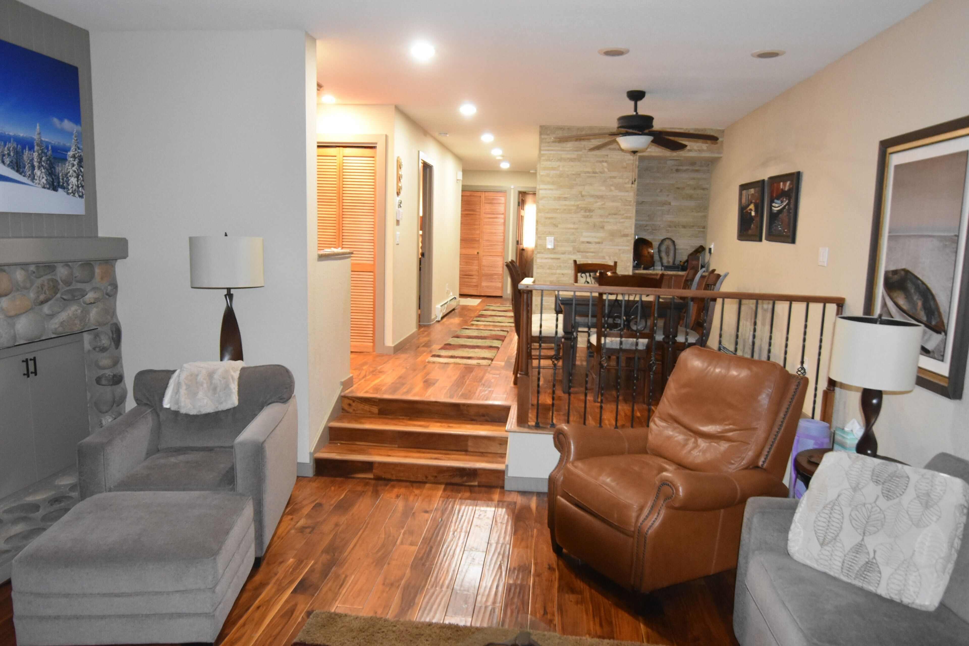 TV connectée, cheminée, lecteur de DVD, livres