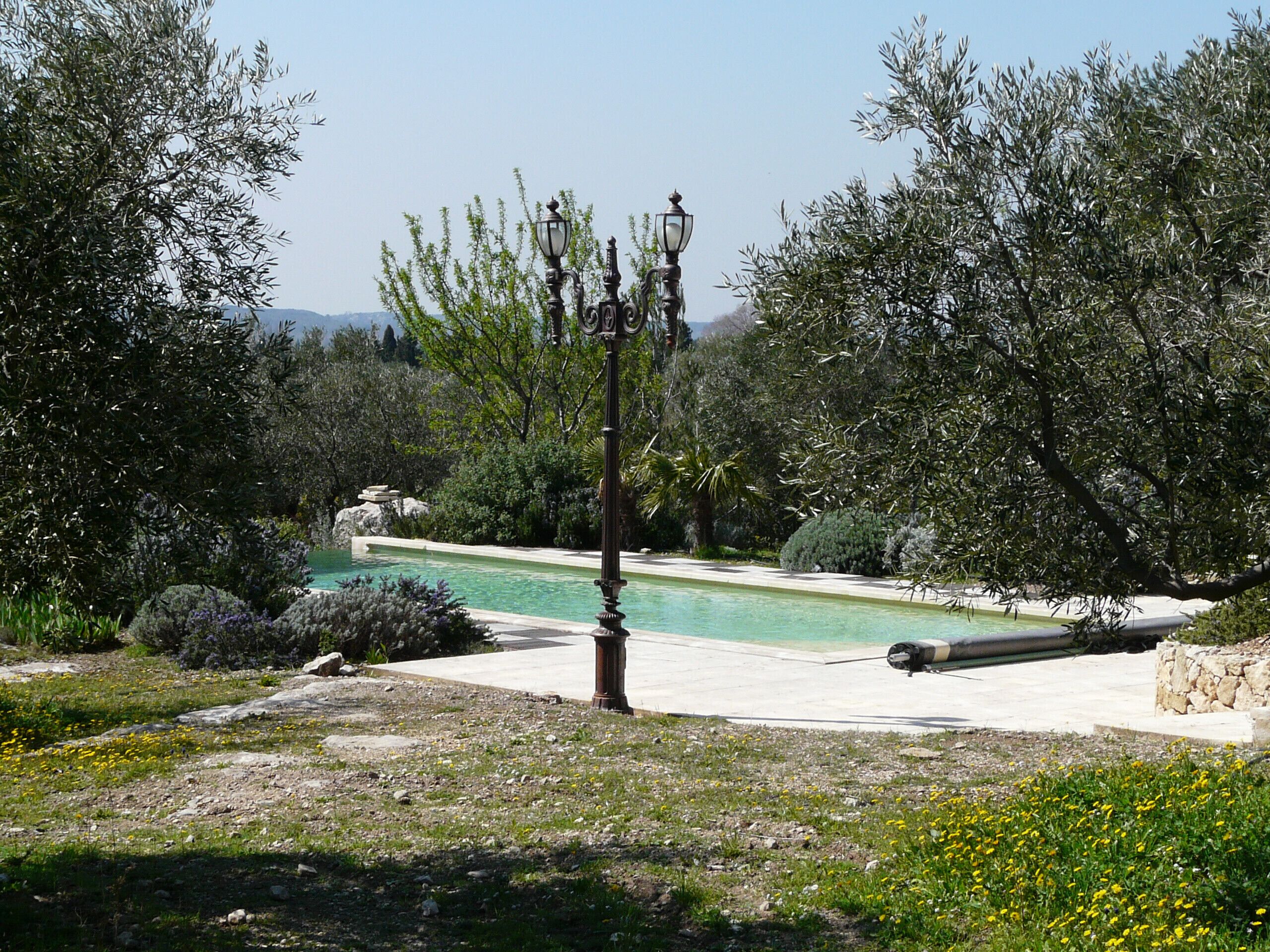 A pool surrounded by greenery, a lamp post, and a stone structure.