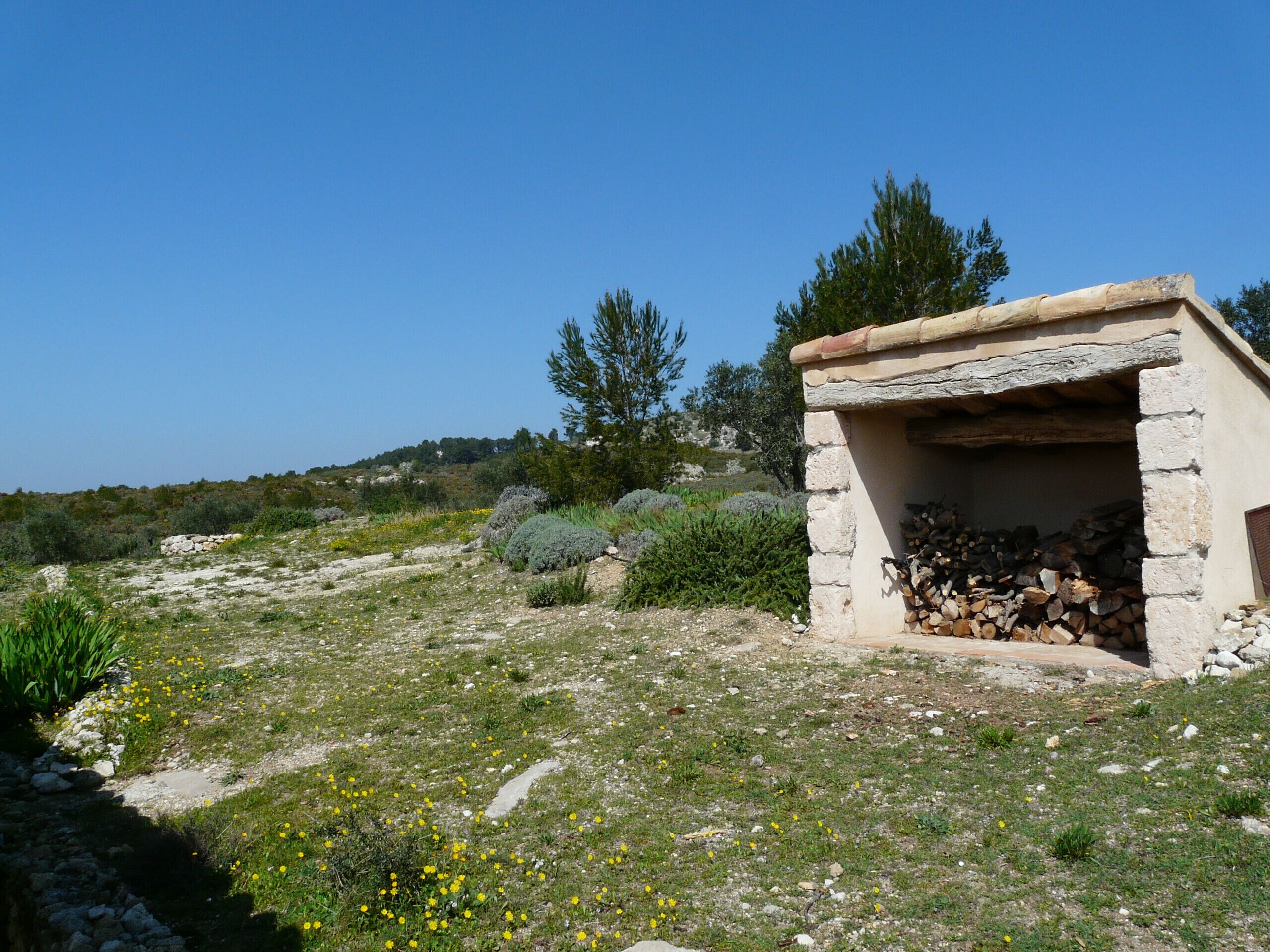 A stone building with a wooden roof, surrounded by a grassy area with scattered yellow flowers and shrubs.