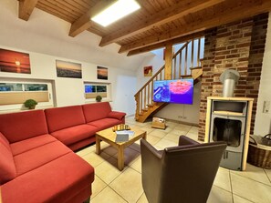 Smart TV, chimenea, reproductor de DVD y libros 