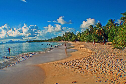 Villa de standing La  FLAMBOYANTE 4 Etoiles & 4 Clévacances