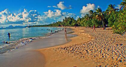 Villa de standing La FLAMBOYANTE 4 Etoiles & 4 Clévacances