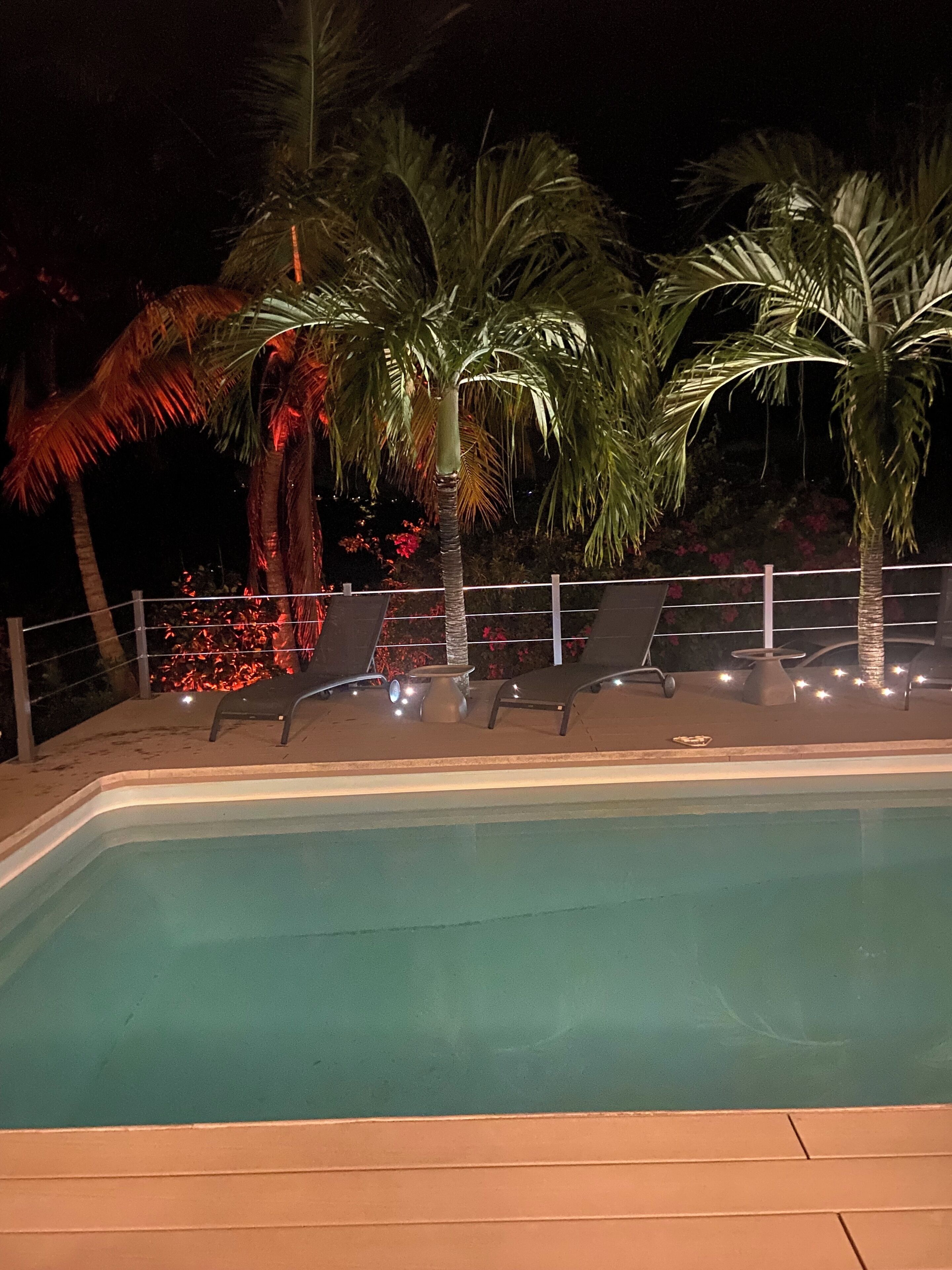A swimming pool with lounge chairs and palm trees at night.