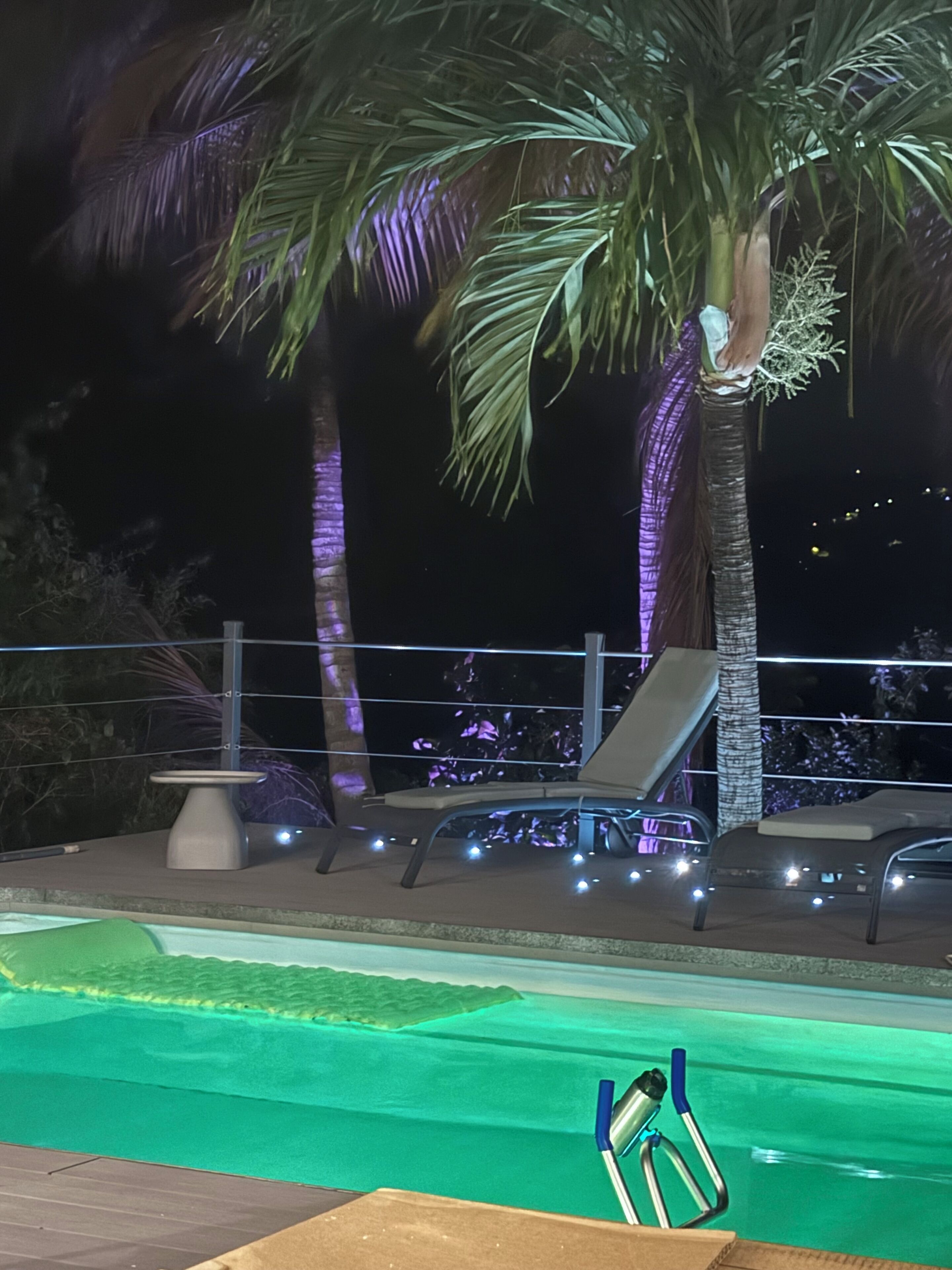 Un espace piscine aménagé pour la nuit, avec des chaises longues et un palmier.