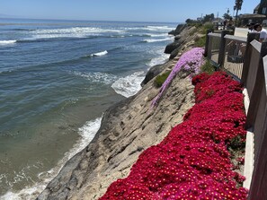 Nær stranden, solsenger og strandhåndklær