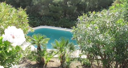 170m² talo Bormes-les-Mimosas puutarha ja uima-allas merelle päin