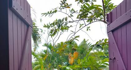 Villa Mayol The pleasure of mutual exchange.