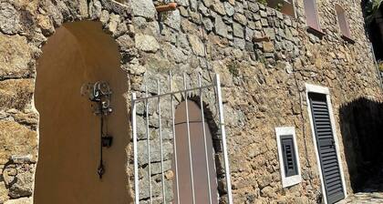 Character house, with vaulted ceilings in the ancestral tradition