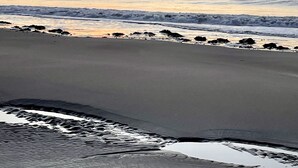 Una playa con olas, un bosque al fondo y una puesta de sol.