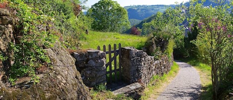 Àrea exterior de l'allotjament