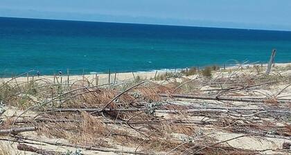 200 m from Moliets beach, house sleeps 8, 2 terraces, 2 shower rooms, WI-FI
