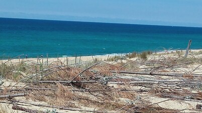 200 m from Moliets beach, house sleeps 8, 2 terraces, 2 shower rooms, WI-FI