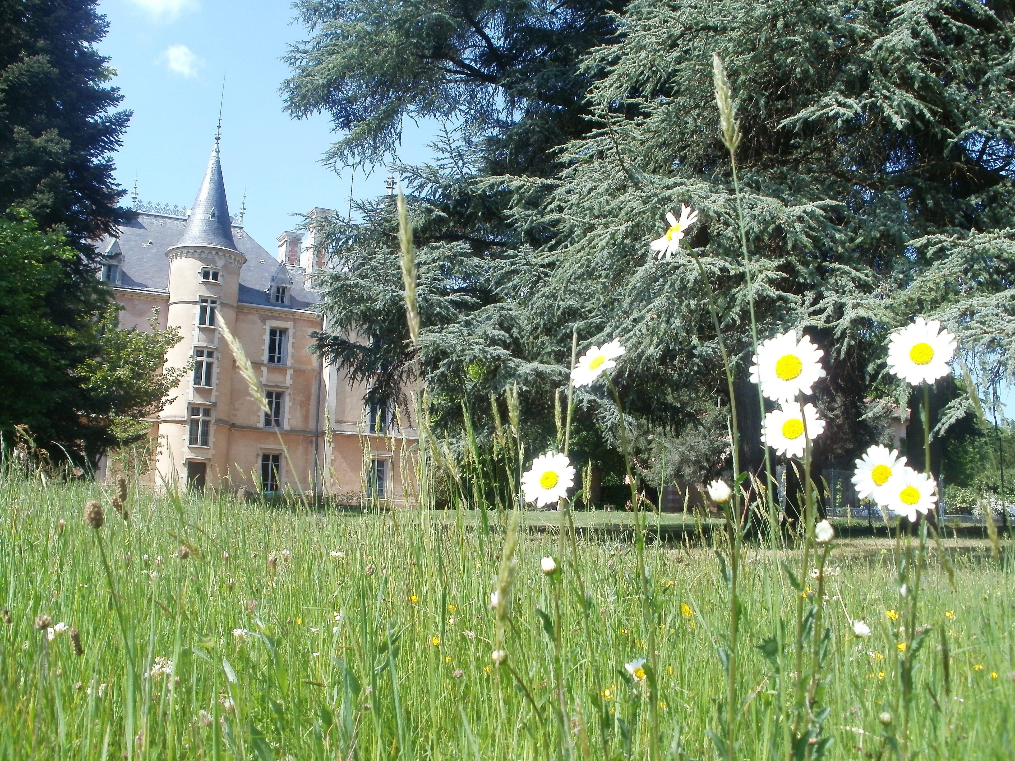 le grand parc de 5 hectares entoure le chateau
