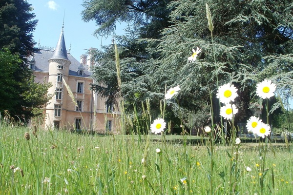 le grand parc de 5 hectares entoure le chateau