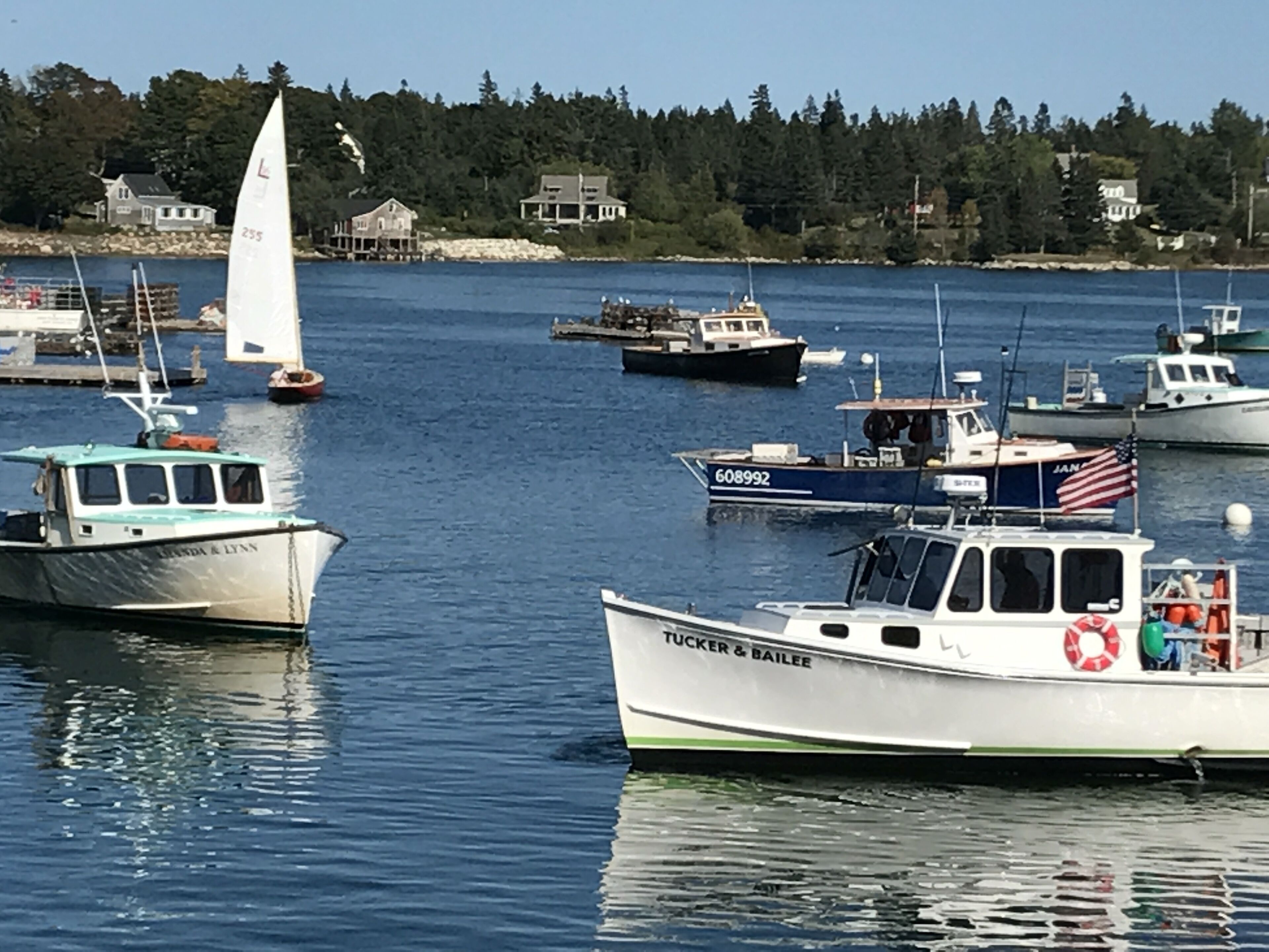 view of harbor near Thurston's warf