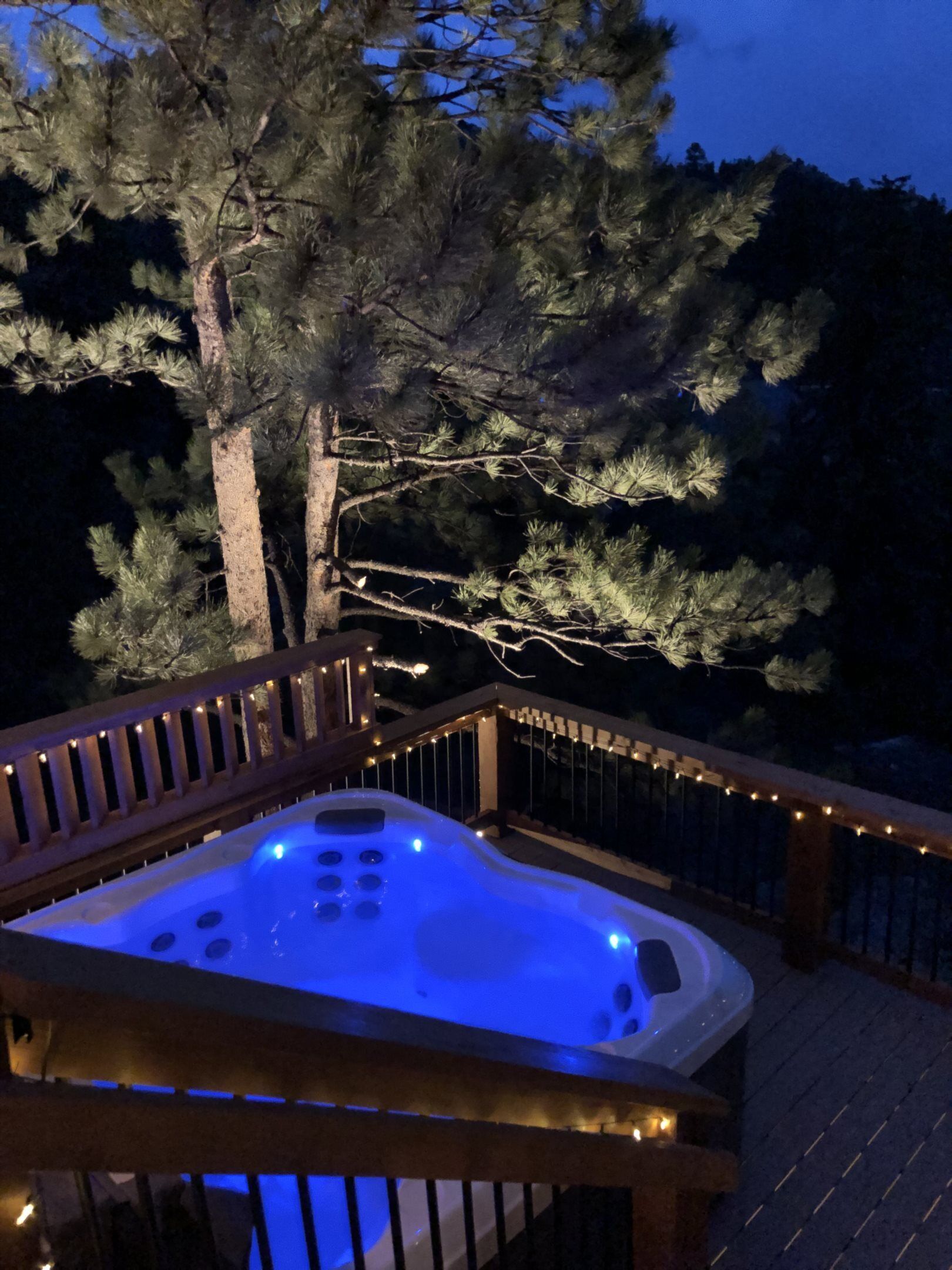 Luxury House, River Access, RMNP, Mountain Views, Hot Tub! Dancing Pines, Estes Park CO