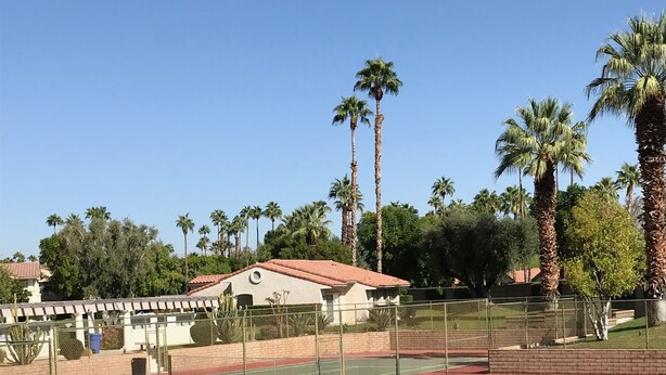 Un court de tennis avec un filet, entouré d’une clôture, et des palmiers en arrière-plan.