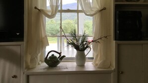 A window with sheer curtains, a potted plant, and a teapot on a windowsill. - CHARMING, 4-Br, 2-Ba, Full Kitchen Wi-Fi, Mt View, private deck, discounts avail (Franconia)