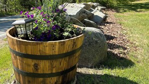 A wooden planter with purple flowers and a lantern, surrounded by rocks and grass. - CHARMING, 4-Br, 2-Ba, Full Kitchen Wi-Fi, Mt View, private deck, discounts avail (Franconia)