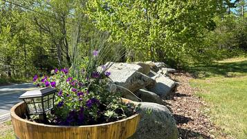 Terrein van de accommodatie