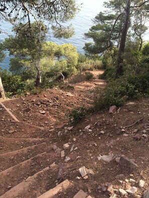 Property grounds - Villa, quiet garden level near beaches with covered terrace and garden (Hyères)