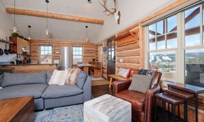 Fernseher, Kamin, Videospiele, DVD-Player