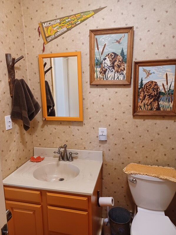 A bathroom with a sink, mirror, toilet, and two framed paintings on the wall.