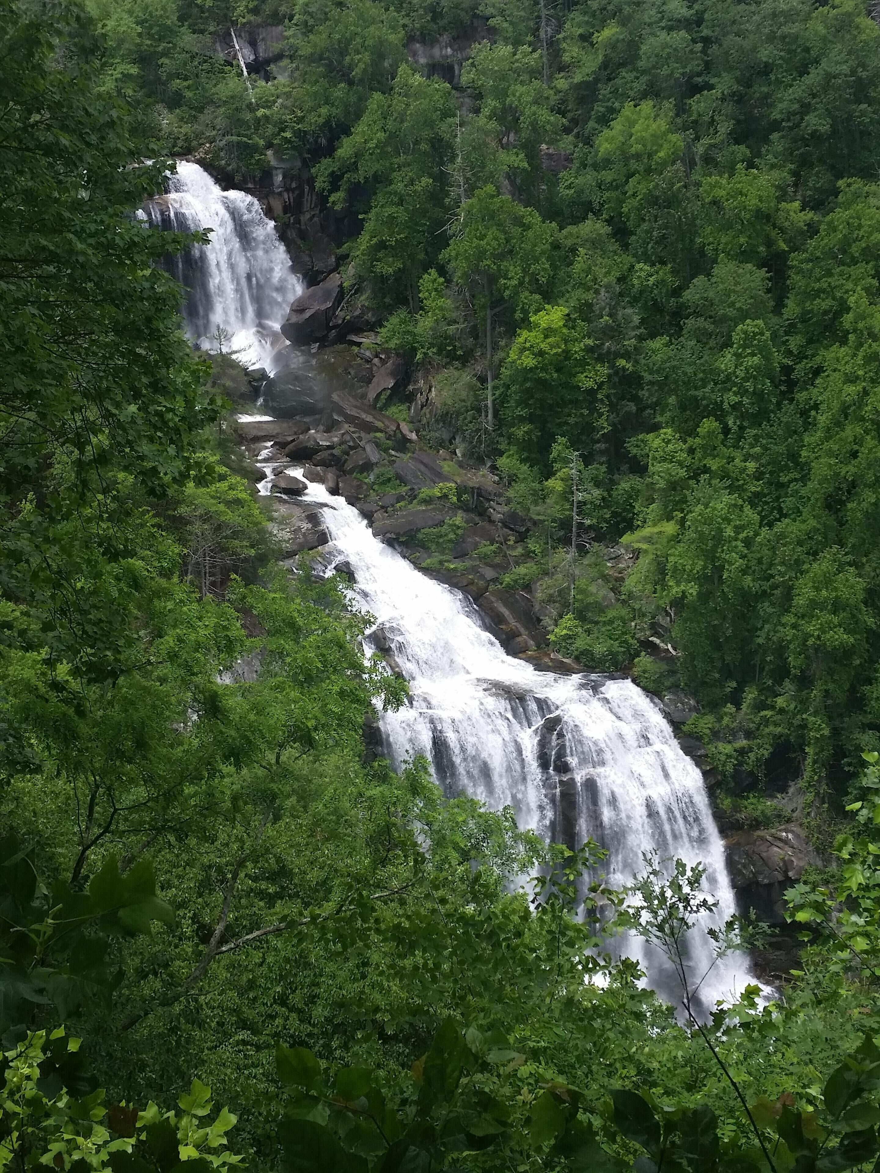 A waterfall cascading through a dense forest.