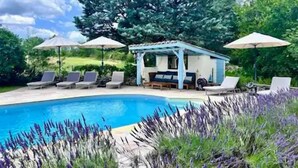 Zona de piscina con sillas de descanso y sombrillas, rodeada de vegetación y un árbol grande.