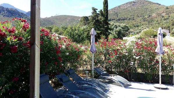 Des fauteuils de jardin et des parasols sont disposés dans un jardin agrémenté de fleurs rouges, avec une chaîne de montagnes en arrière-plan.