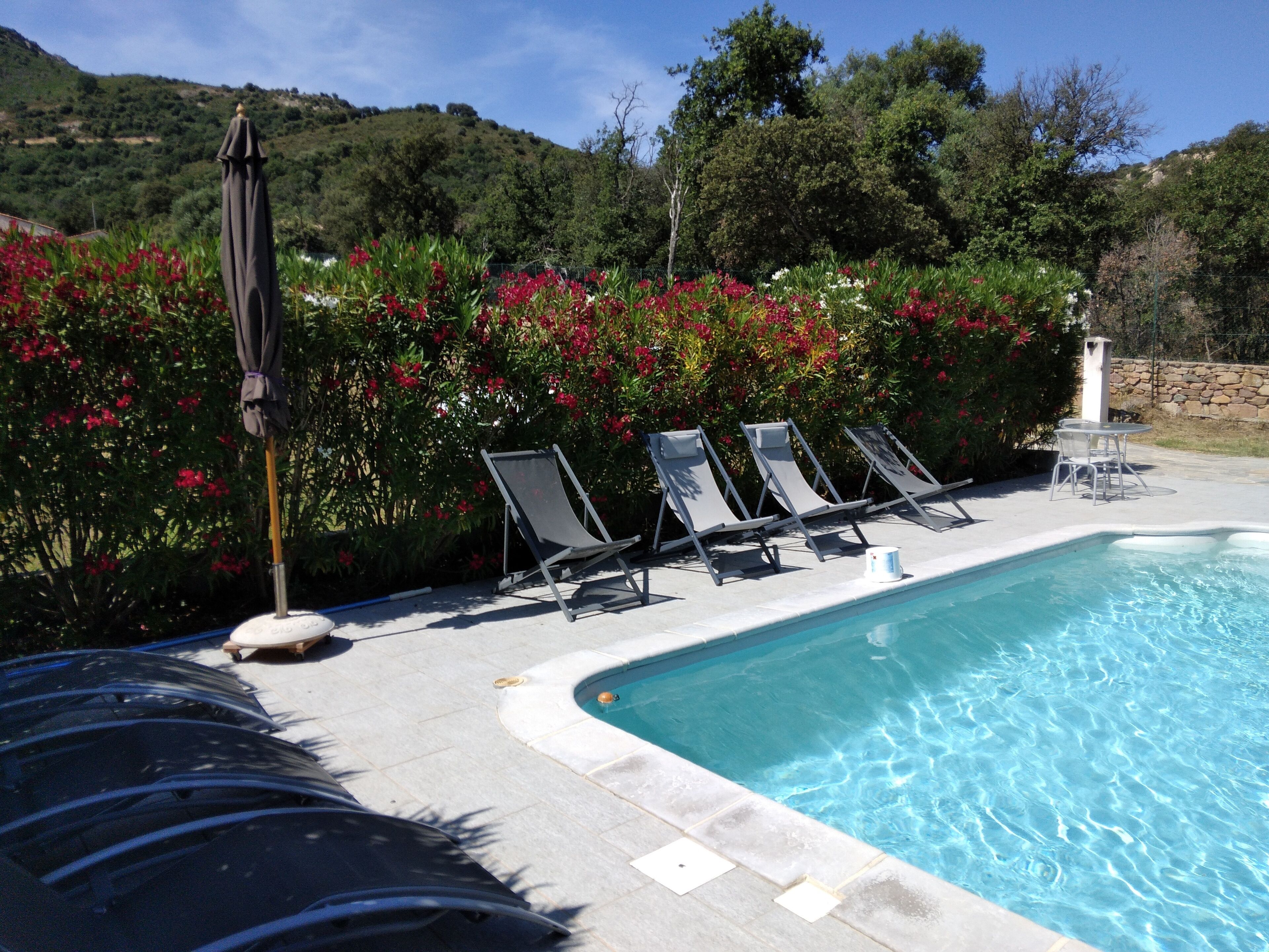 Un espace aménagé au bord de la piscine, avec des chaises longues et une table, entouré d’une végétation luxuriante et de fleurs.