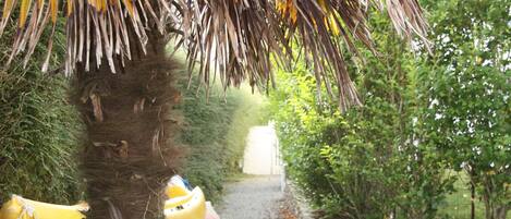 المنطقة المحيطة بالمنشأة