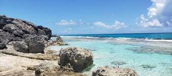 美しいプライベートビー チのあるターベイのプライベートオーシャンフロントの家