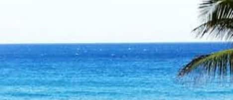 On the beach