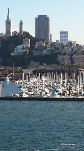 Local Style Living Inside the Big City! Two miles to UCSF and Golden Gate Park!