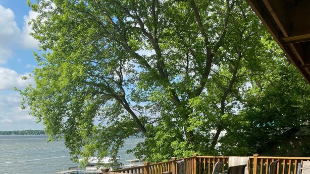 Terraza de madera con mobiliario exterior con vistas a un lago.