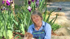 Eine Person hält einen Hund vor einem Garten mit lilafarbenen und weißen Blumen.