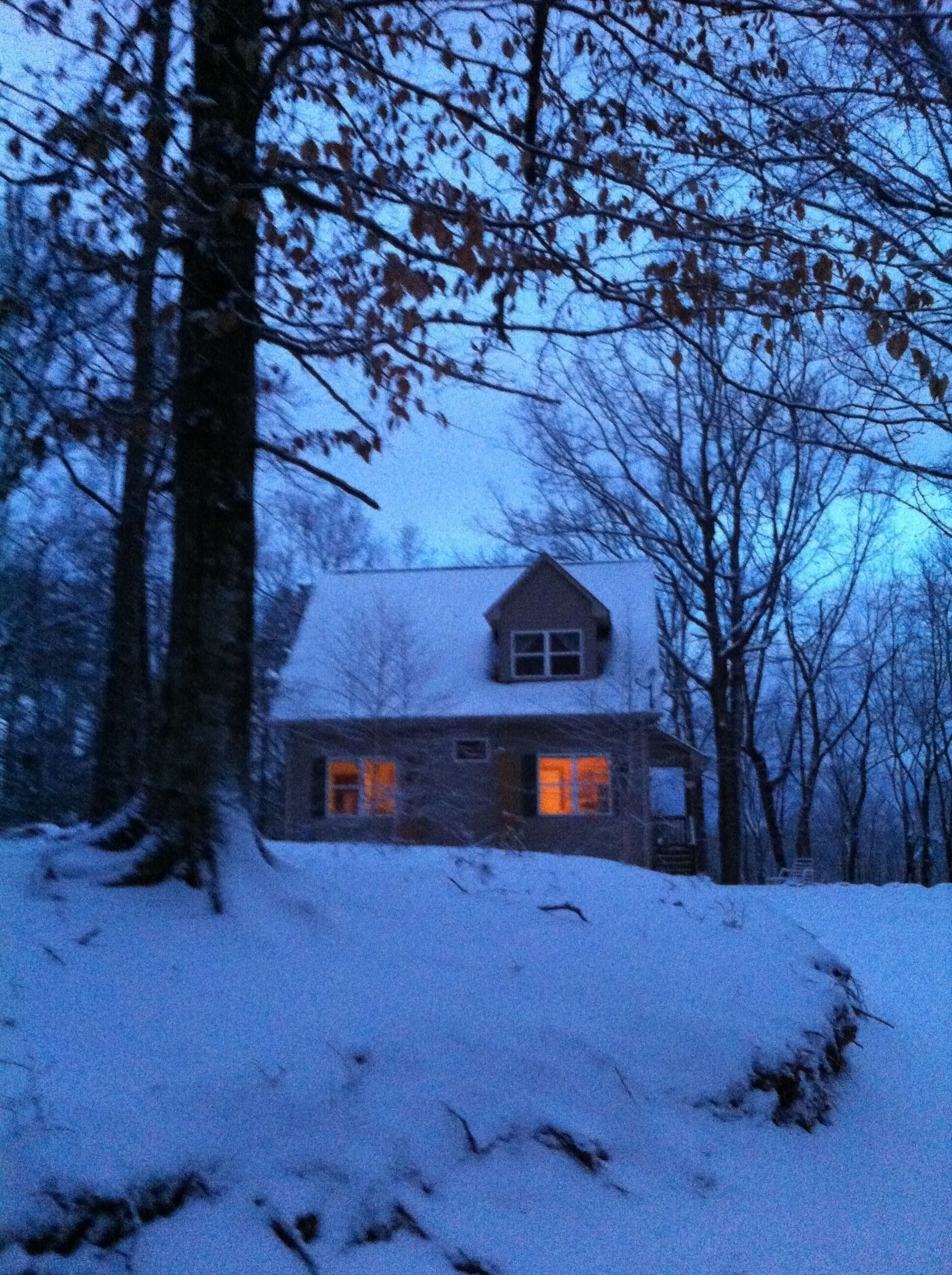 Una casa rodeada de árboles sobre un terreno cubierto de nieve.