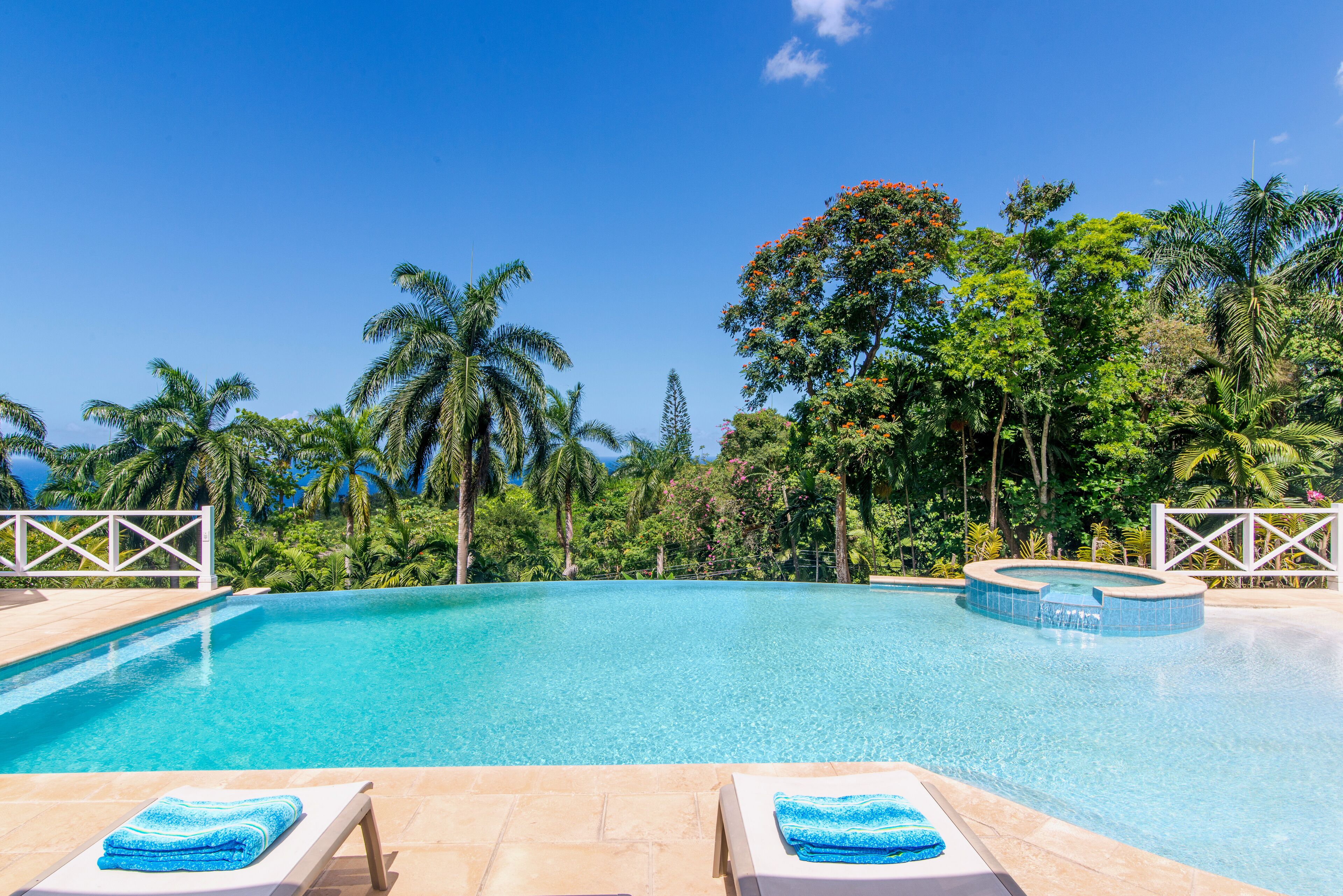Une piscine d’un bleu éclatant, entourée de palmiers et d’une vég étation luxuriante.