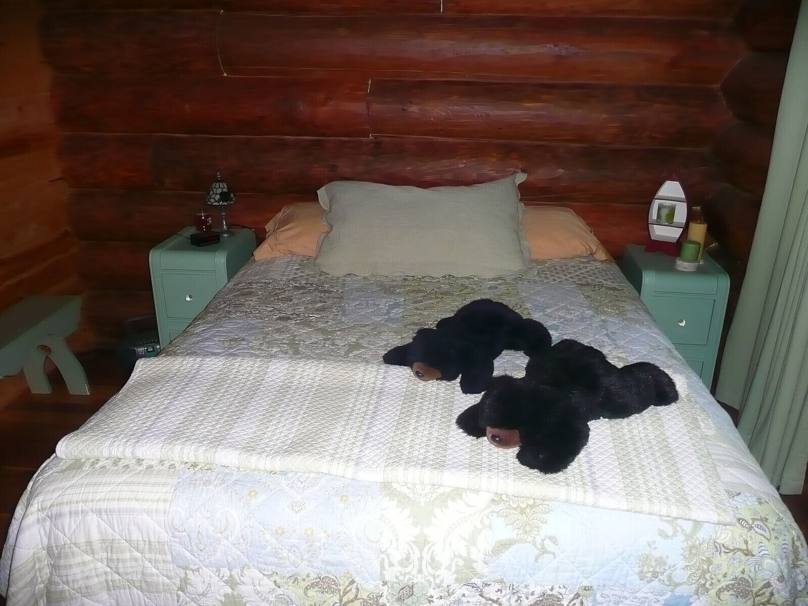 Log Cabin living on beautiful Lake Minnewawa-call for LAST MINUTE AVAILABILITY 