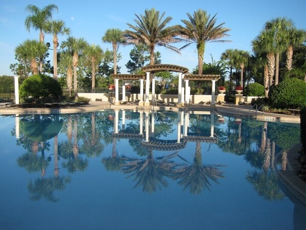 A pool area with palm trees and a pergola structure.