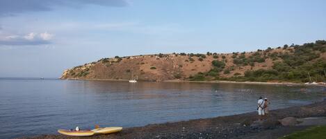 بالقرب من الشاطئ