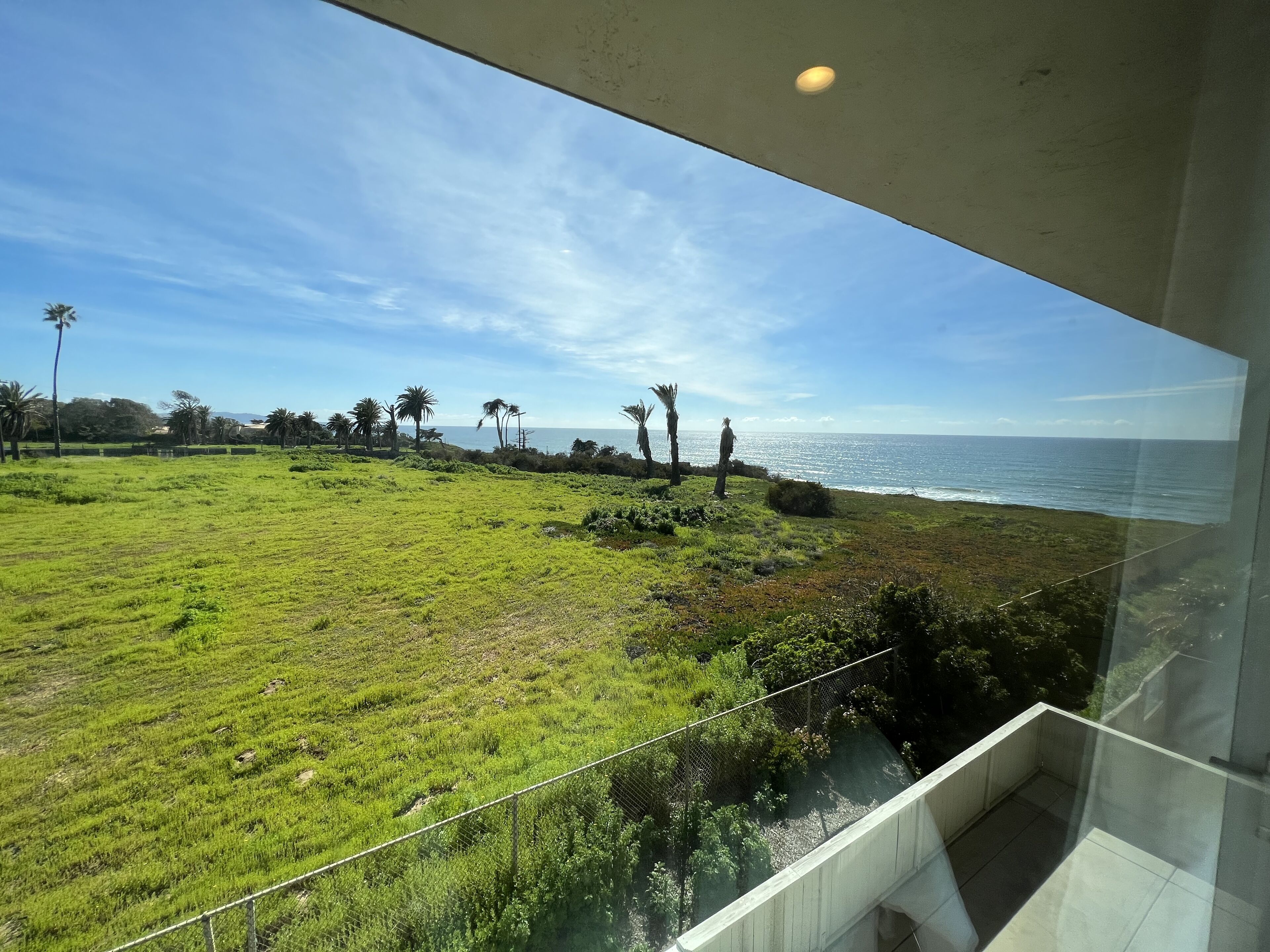 A view from a balcony overlooking a grassy field with palm trees and a beach in the distance.
