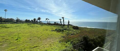 A view from a balcony overlooking a grassy field with palm trees and a beach in the distance.