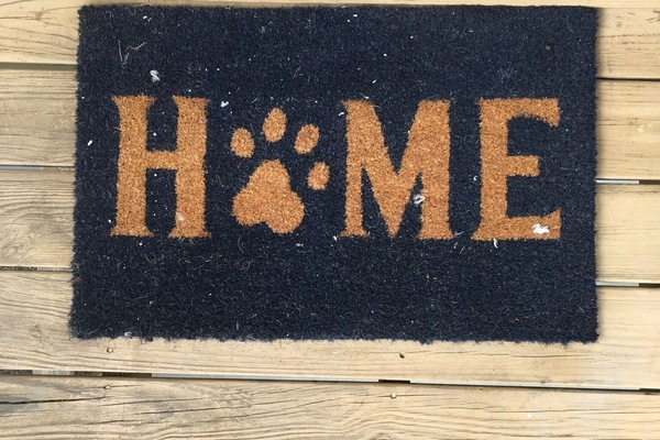 Detalle del exterior