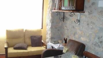 TV, fireplace, books