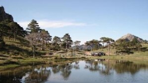 Paisagem serena com um lago tranquilo refletindo árvores e uma montanha ao fundo.