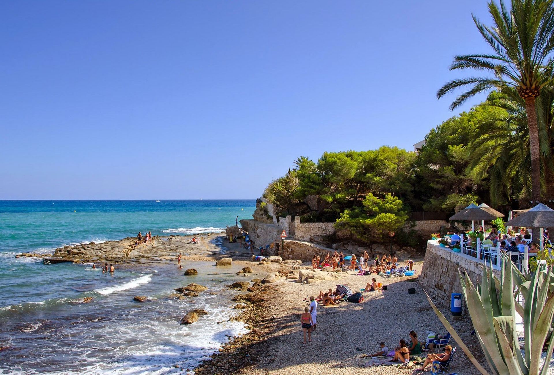 A beach with rocky terrain, palm trees, and a clear blue sky.