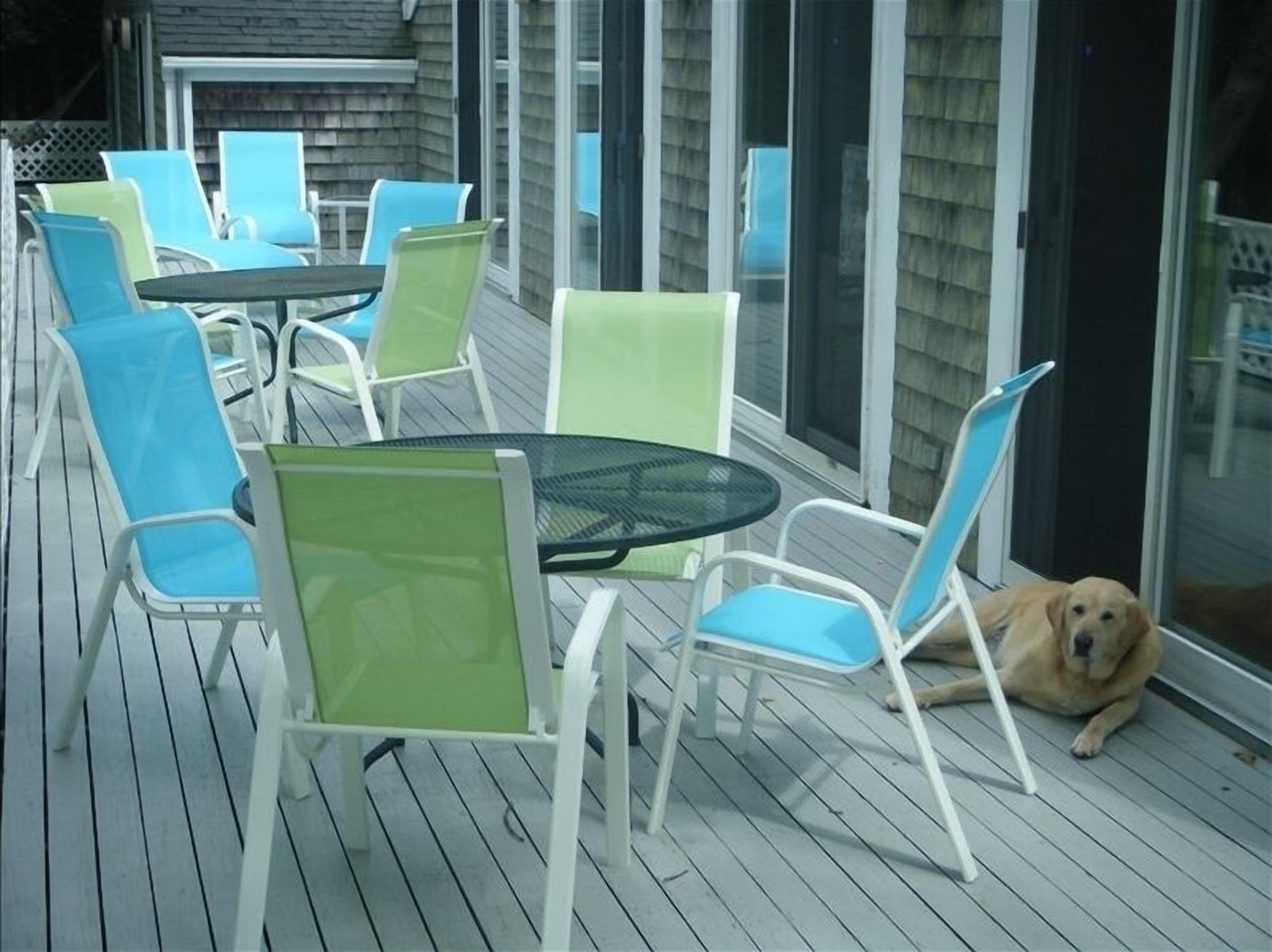 Plenty of space for dining or lounging on this deck !  Good dogs always welcome!