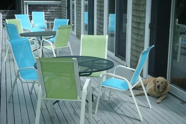 Plenty of space for dining or lounging on this deck ! Good dogs always welcome!